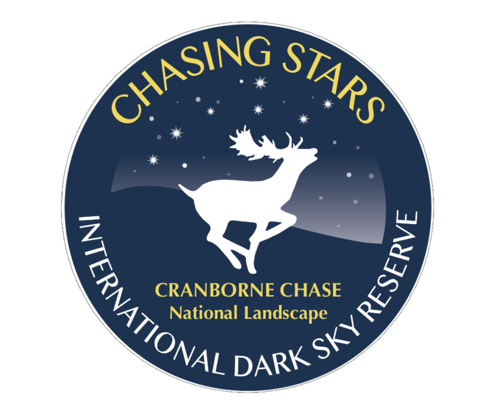 Chasing Stars logo